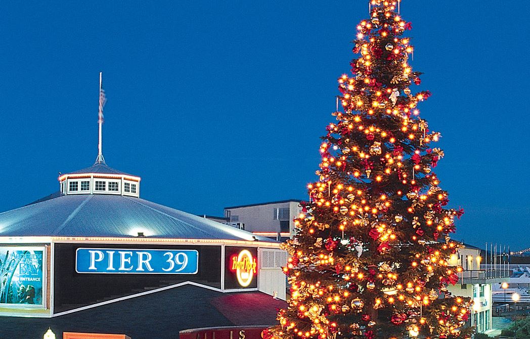 Pier 39 Tree Lighting Celebration This Weekend Reset San Francisco